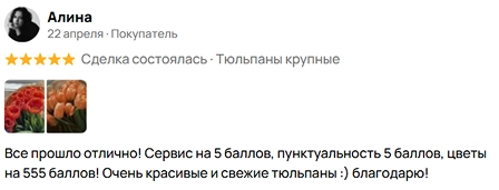 Отзыв 5